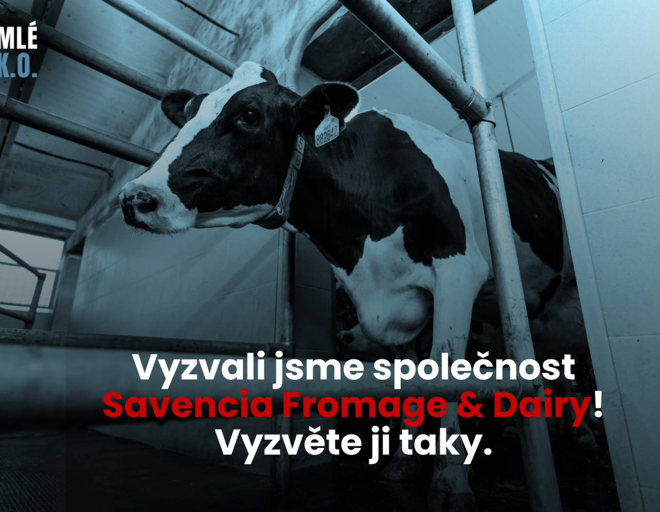Výzva mlékárně Savencia Fromage &amp; Dairy